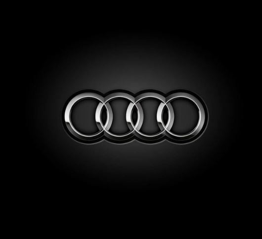 Audi Grille Number Plate Clips